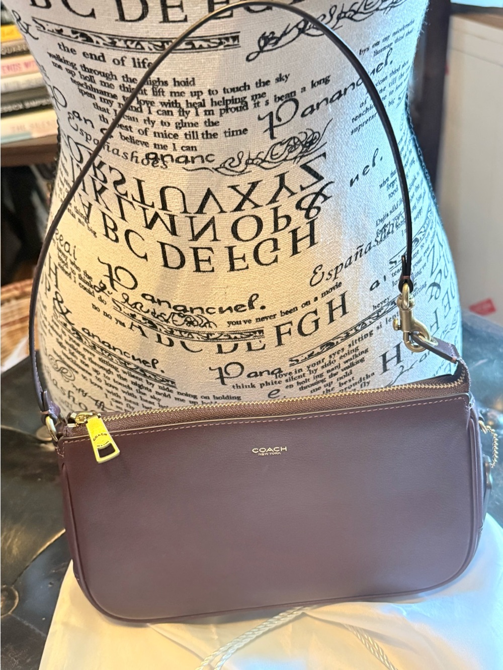 Coach Plaza 22 Full Grain Leather Shoulder Bag, Gold Hardware - Picture 3 of 11